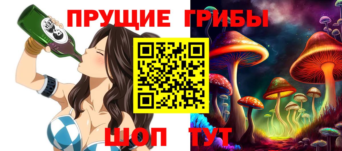 Псилоцибиновые грибы Psilocybe Славгород